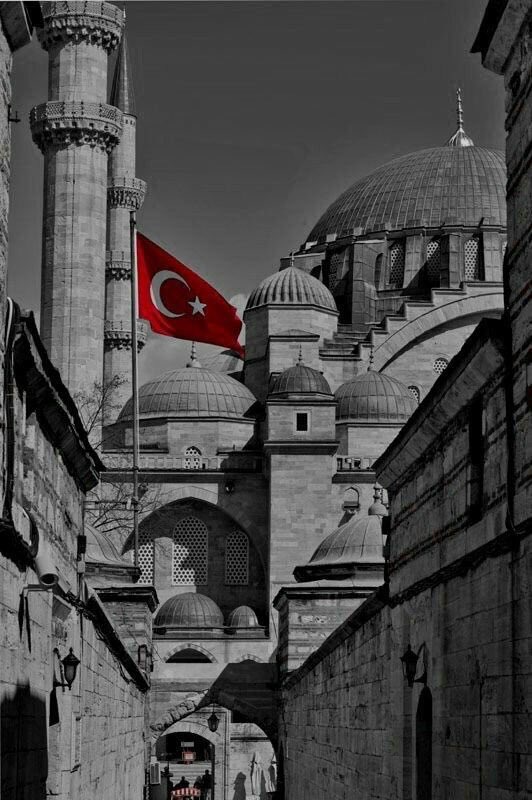 Uğruna ölmekse seni yaşatmak bin kere ölürüm de adına leke sürdürmem, gururdur namustur bayrak ve sancak, aksa da kanım zalimi güldürmem! - NFK           #Greece