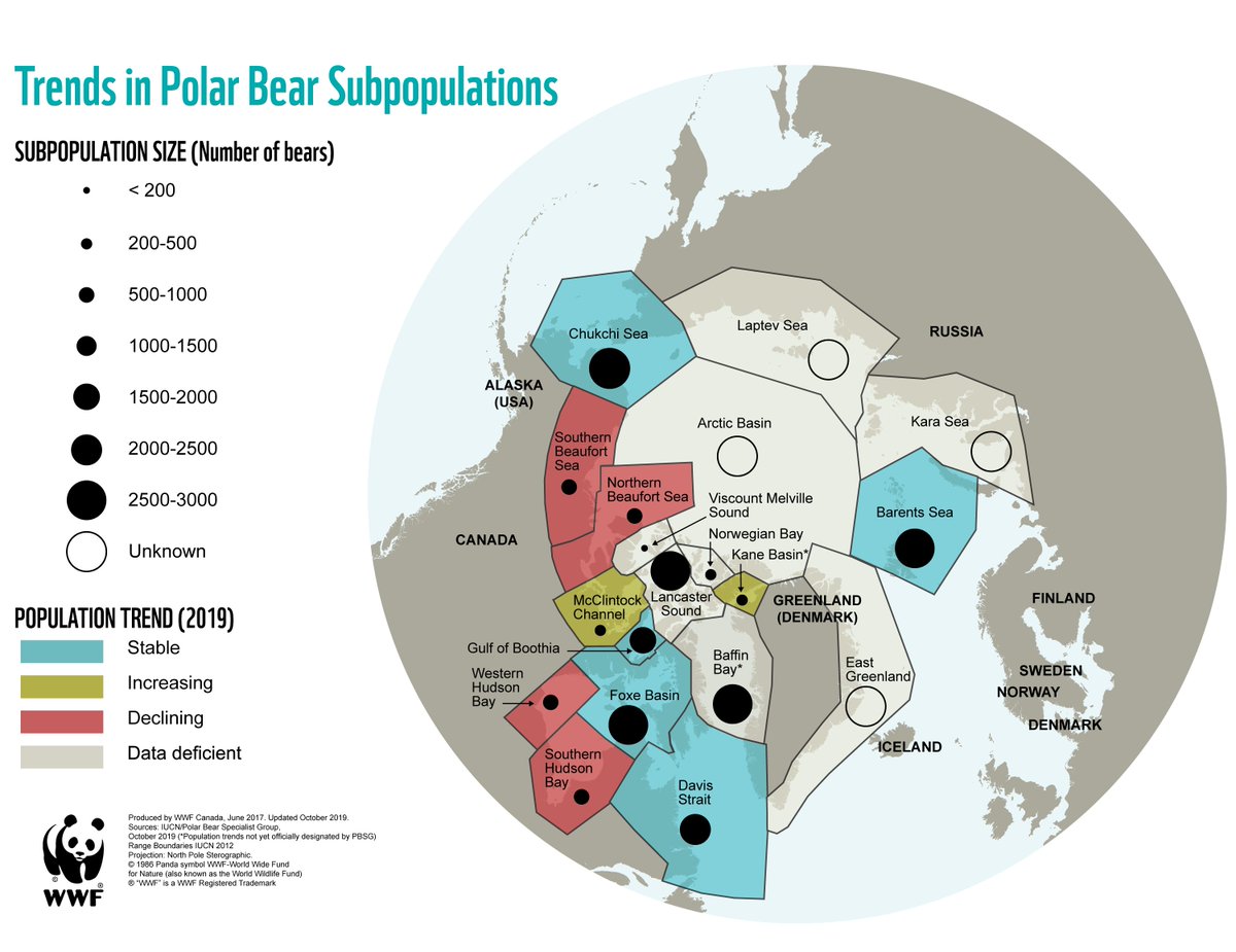 Trends in polar bear subpopulations.