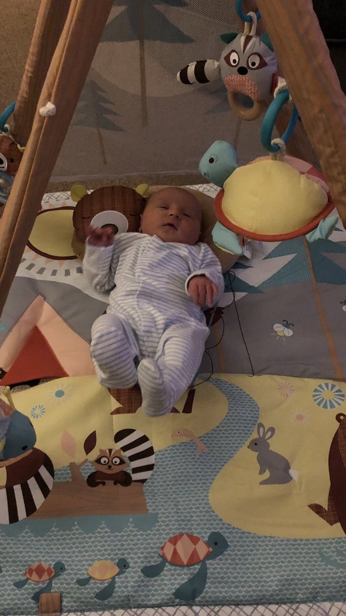 Lloyd Warren tweet media