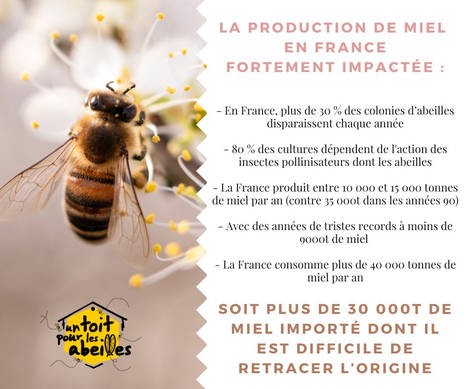 1ToitPourLesAbeilles tweet media