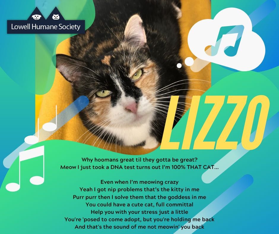 Lizzo is looking for her forever home, come on down to meet her! If she’s busy, she’ll hit you back in a minute. <a href="/lizzo/">LIZZO</a> #Lizzo