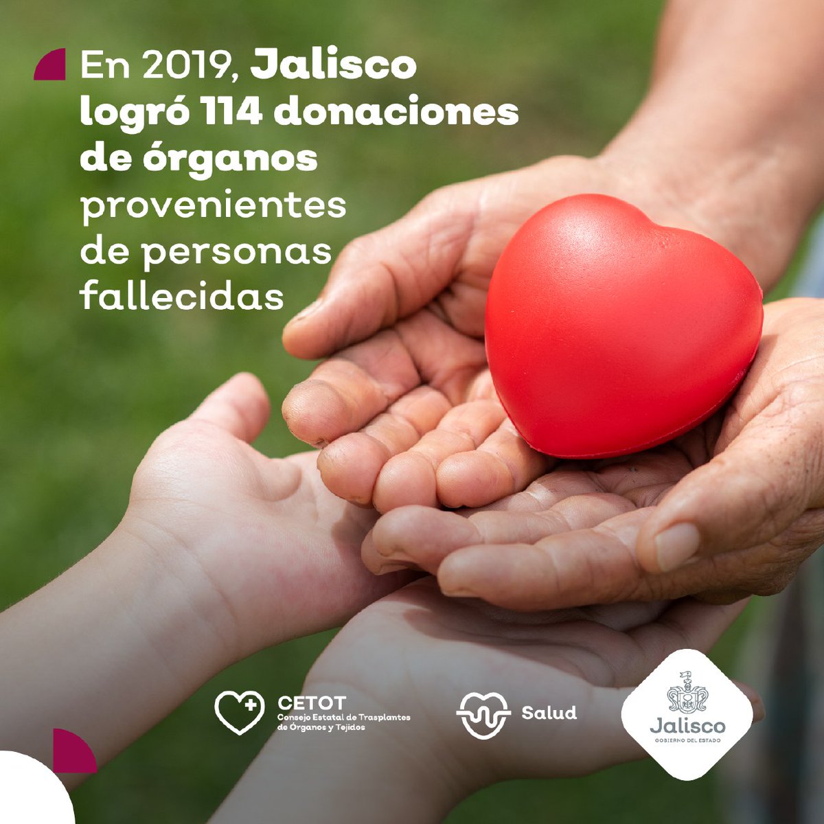 TrasplantesJal's tweet photo. #Jalisco rompe el histórico de donaciones, gracias a los hospitales Públicos, Privados @FiscaliaJal @forensesjalisco, @SAMUJalisco y en especial a las familias que su momento de duelo lo convierten en un acto de amor al decir ¡Sí a la donación de órganos y tejidos! https://t.co/4eswRGhgt8