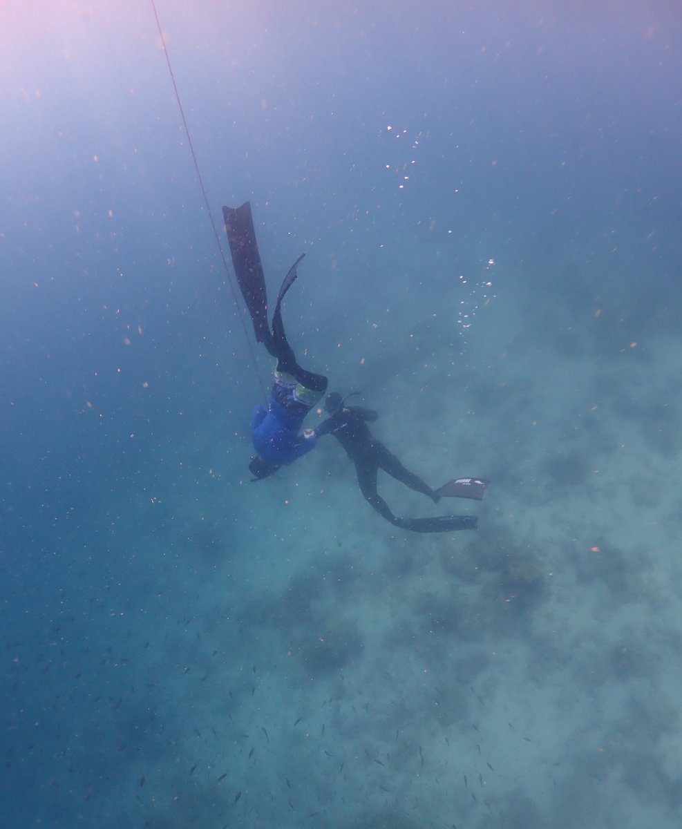 sea_mastermind's tweet image. Freedive Instructor Development Course (level 1) Class 2/2019 Open Water Exam Day 1-4 #FreediveInstructor #InstructorDevelopmentCourse #Freediving #Freedive #InstructorTrainer #สอบ #ฟรีไดฟ์ #SeaMastermind #เรียนครูฟรีไดฟ์