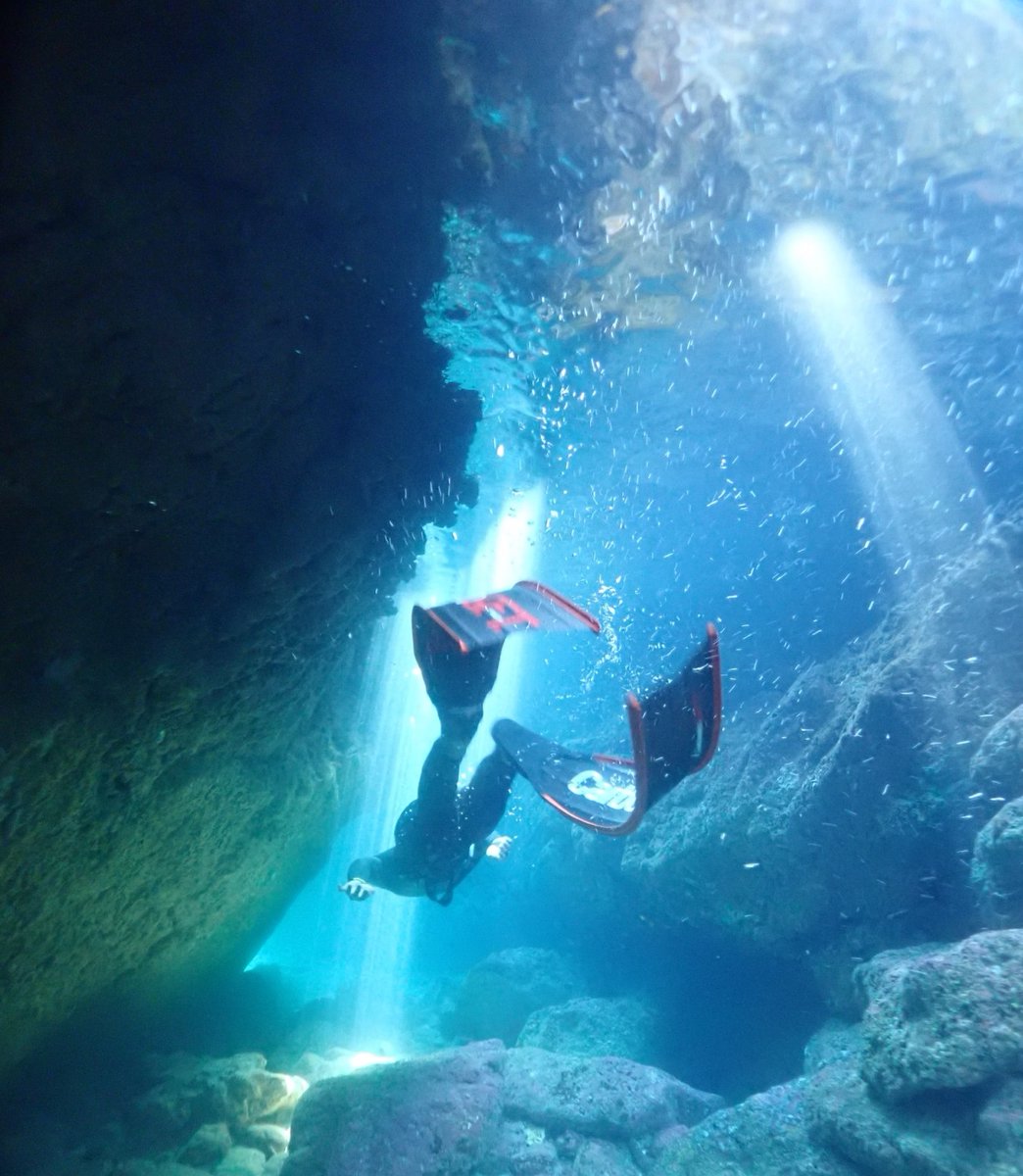 sea_mastermind's tweet image. Freedive Instructor Development Course (level 1) Class 2/2019 Open Water Exam Day 1-4 #FreediveInstructor #InstructorDevelopmentCourse #Freediving #Freedive #InstructorTrainer #สอบ #ฟรีไดฟ์ #SeaMastermind #เรียนครูฟรีไดฟ์