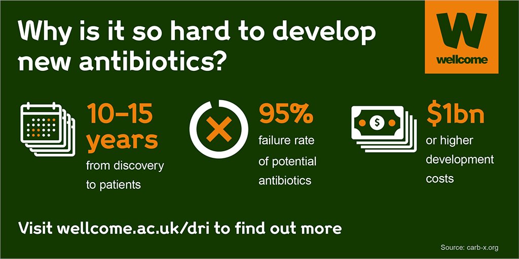 Infographic showing the time and cost of developing new antibiotics
