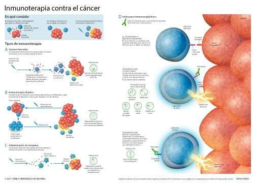 La Clínica Universidad de Navarra forma parte de tres redes internacionales de centros de excelencia en investigación de nuevas líneas de inmunoterapia. Las tres plataformas están constituidas por instituciones líderes mundiales en el estudio y aplicación de esta avanzada vía terapéutica. Se trata de tres consorcios impulsados desde la industria farmacéutica y participados por centros de referencia en la materia. La 