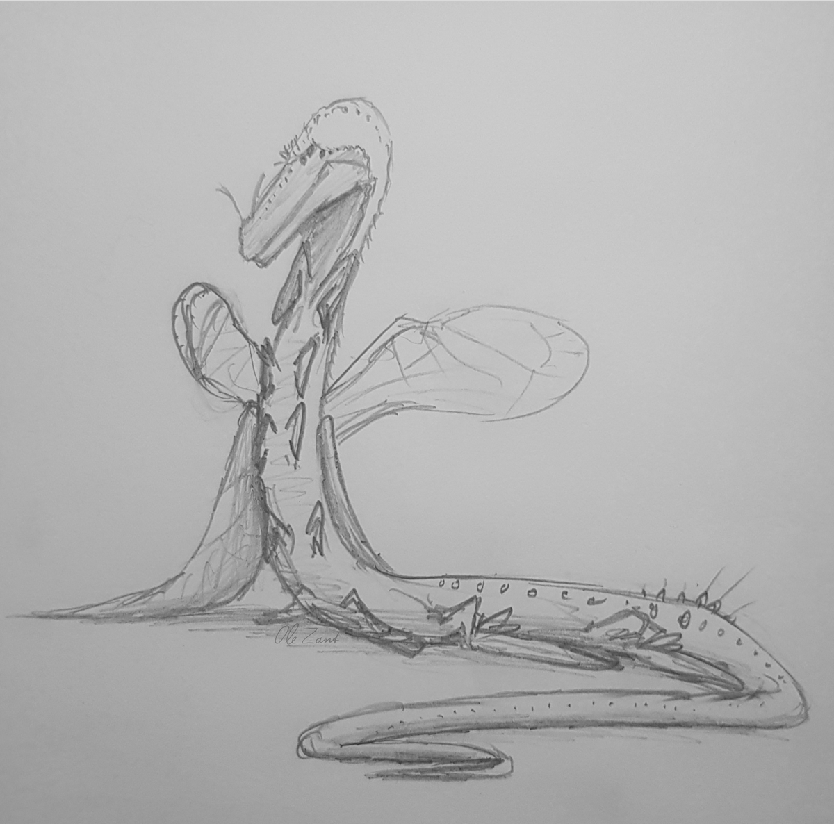 TheBioBob's tweet photo. I haven't been very productive lately so I figured I'd share some of my sketches. Although most of my latest art is paleoart I'm considering doing a few original fantasy creature designs in the future. https://t.co/WimQkasB31