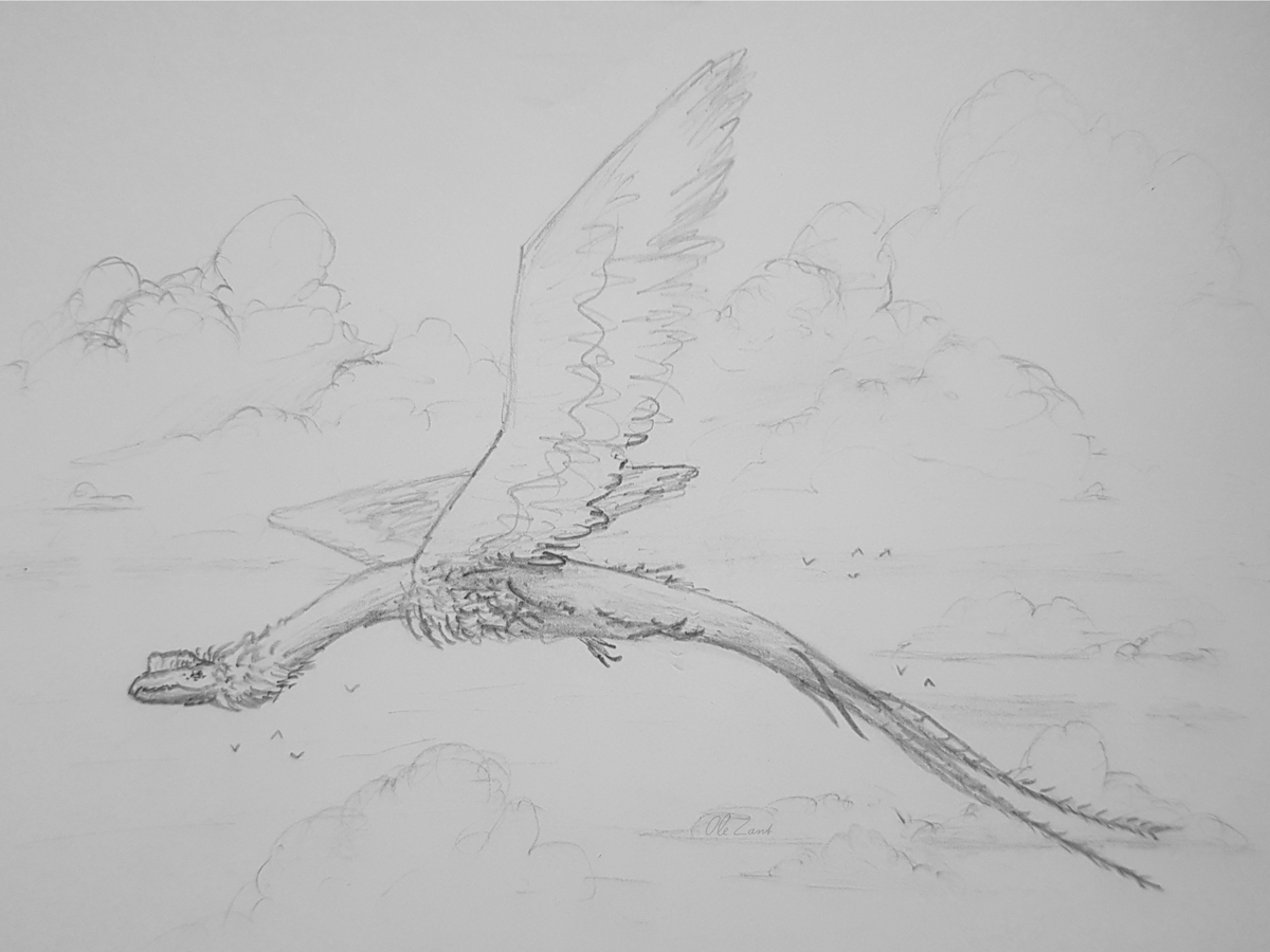 TheBioBob's tweet photo. I haven't been very productive lately so I figured I'd share some of my sketches. Although most of my latest art is paleoart I'm considering doing a few original fantasy creature designs in the future. https://t.co/WimQkasB31