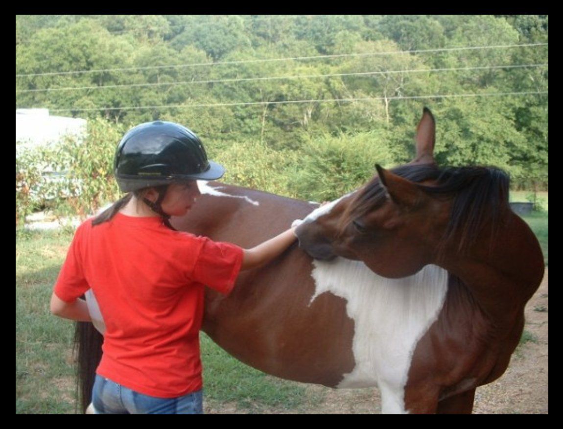 Chelsea Troy @heychelseatroy@social.clawhammer.net tweet media