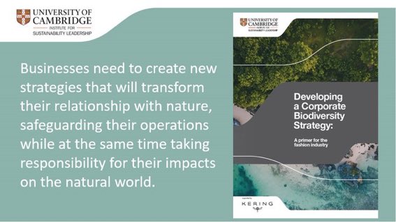 2020 is the super year for nature, business has the opportunity to develop biodiversity strategies and transform how they engage with nature bit.ly/2O9udMU <a href="/KeringGroup/">Kering</a> <a href="/NatCapCoalition/">Natural Capital Coalition</a> <a href="/cisl_cambridge/">Cambridge Institute for Sustainability Leadership</a> <a href="/BfNCoalition/">Business for Nature</a>