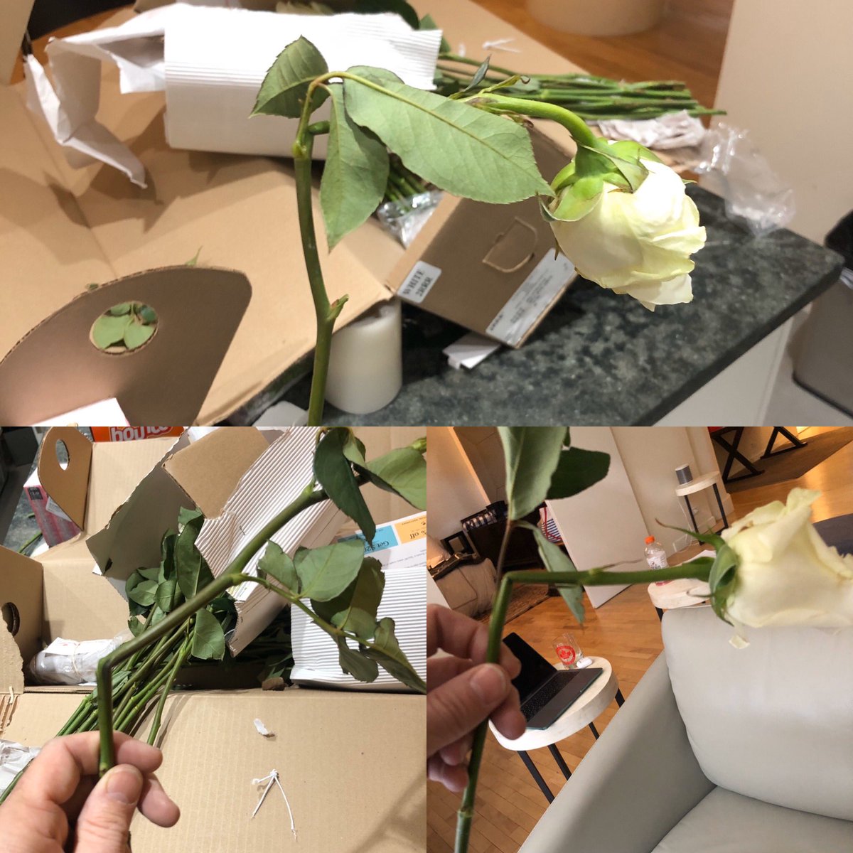 LGBT Community News tweet media