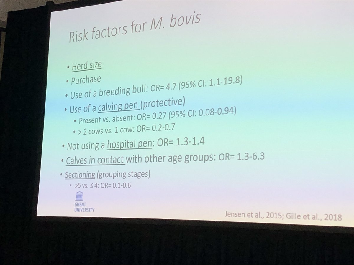Risk factors for Mycoplasma #nmc20    Nicely explained by Bart Pardon