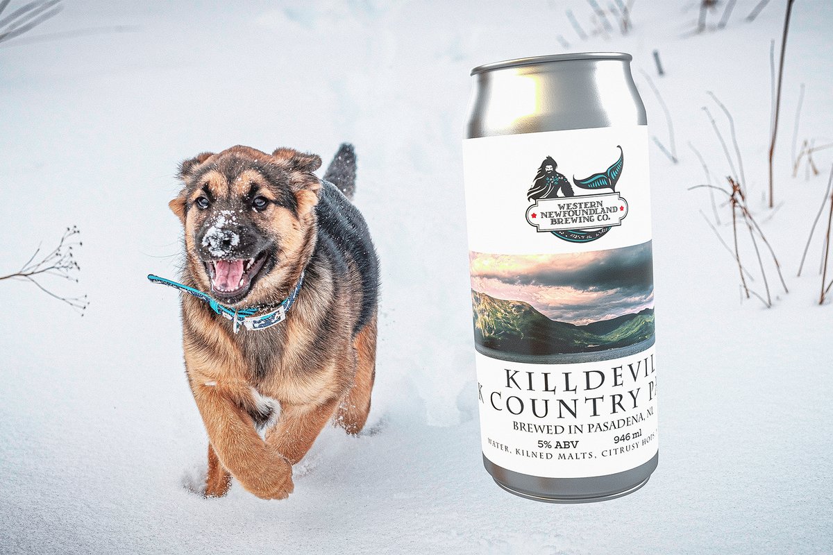 Killdevil Incoming! Hitting St. John's Friday.
#nlcraftbeer #westernnlbrewing #honeybeegood #beer #wnlbc