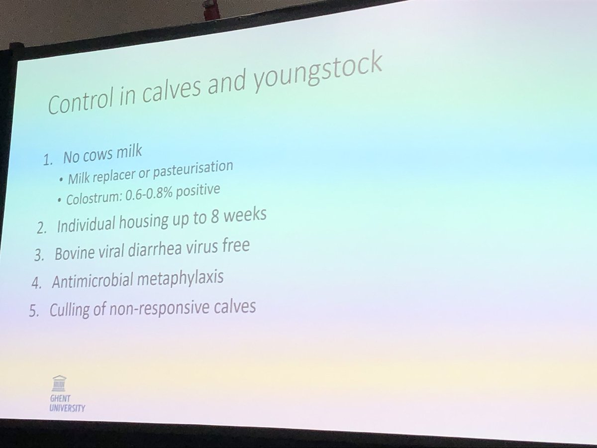 5 points for controlling mycoplasma in calves ~ Pardon #nmc20