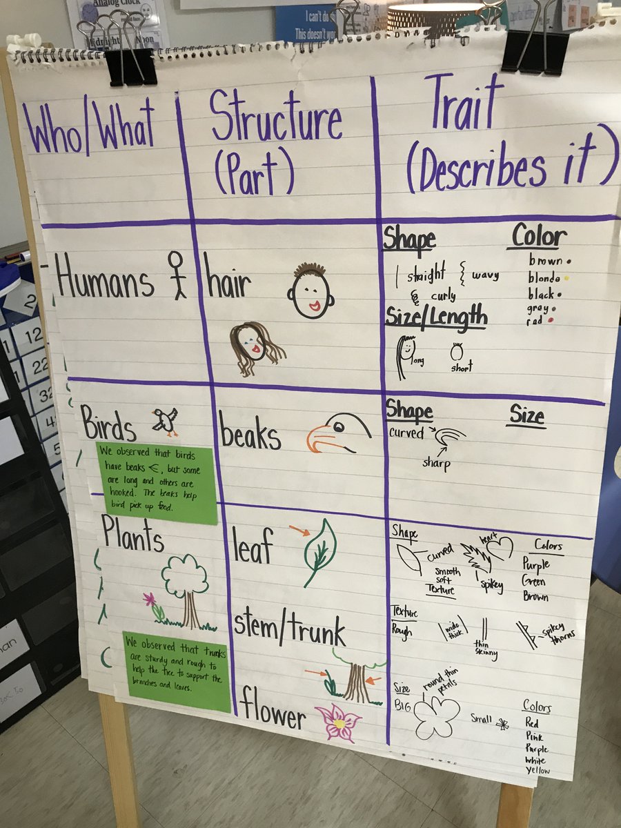 NGSS_tweeps's tweet photo. T’s can teach the literacy skills through the figuring out of a phenomena. This example is from a 1st grade unit on animal structures and function. It was integrated with their reading across texts. 1/ 2 #NGSSintegrates #ngsschat https://t.co/P6gzlNNXB9