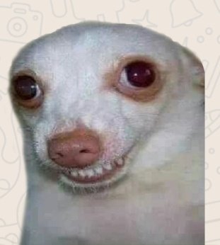 Fav❤ y paso mi link por MD 
Posdata tengo 2mil copas 🥺