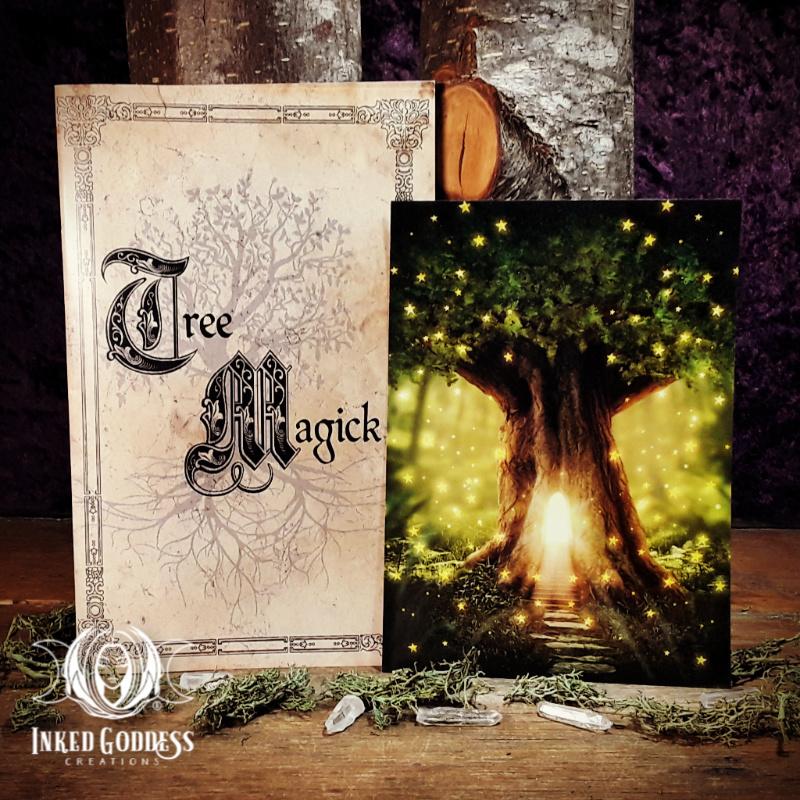 inkedgoddesshop's tweet photo. Tree Magick Booklet Plus Bonus Altar Card! ~ $6.00
https://t.co/O8ya0i8vPU
#treemagick #altar
This beautiful 22 page booklet is filled with various information related to practicing tree magick, as well as magickal correspondences for many common tree types. https://t.co/XX336Fx46a