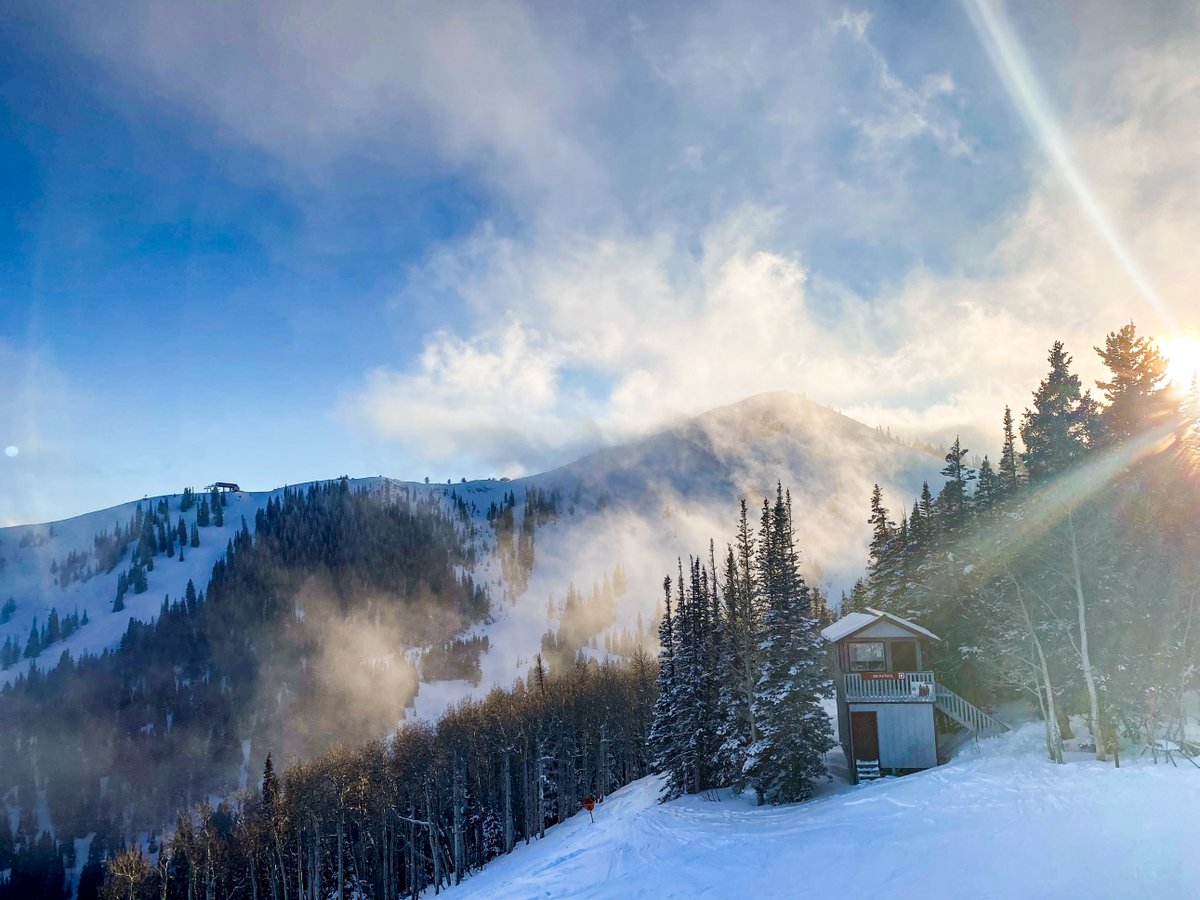 PCski's tweet image. The light hitting just right. 
📷: i.max.s