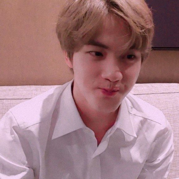 seokjinnie as hamtaro