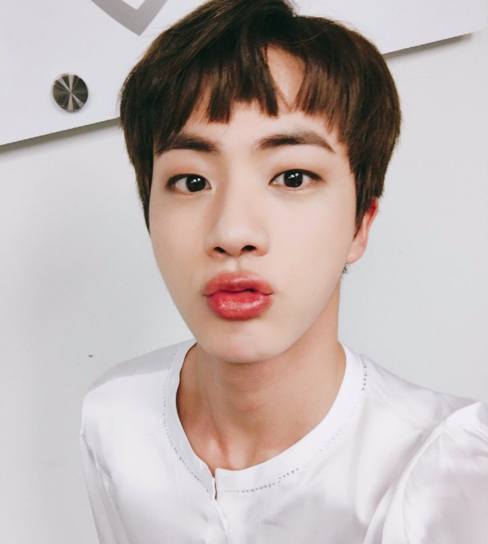 seokjinnie as hamtaro