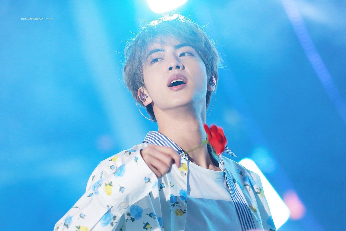 seokjinnie as hamtaro