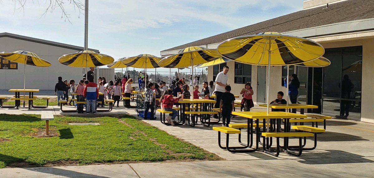 GarzaLions_BCSD's tweet photo. Loving the new place to read at Garza!! #readingforpleasure #teamBCSD #RamonGarza https://t.co/5V1xbno0zK