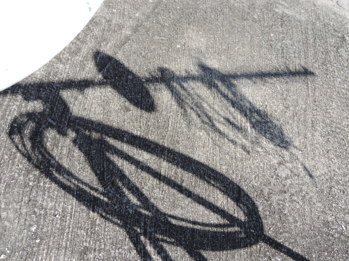 fearlesslyloyal's tweet photo. #SatcomNorm setting my stuff up to work on the #NiteMoves later on tonight..Hopefully no showers... Here is the #HRPTBLUNT Casting a shadow hahah..according to #GPredict there promises to be some very good & long duration passes I can monitor to fine tune & evaluate my works https://t.co/ct5EZkmeAZ