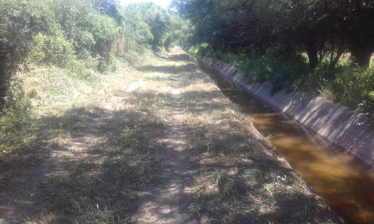 GPlencovich's tweet photo. Tareas de mantenimiento del camino de servicio del canal principal de riego en la zona de Los Chañaritos, dpto Cruz del Eje. @ObrasMinSP @MinSPcba @APRHI_CBA https://t.co/zphG8HwPdE