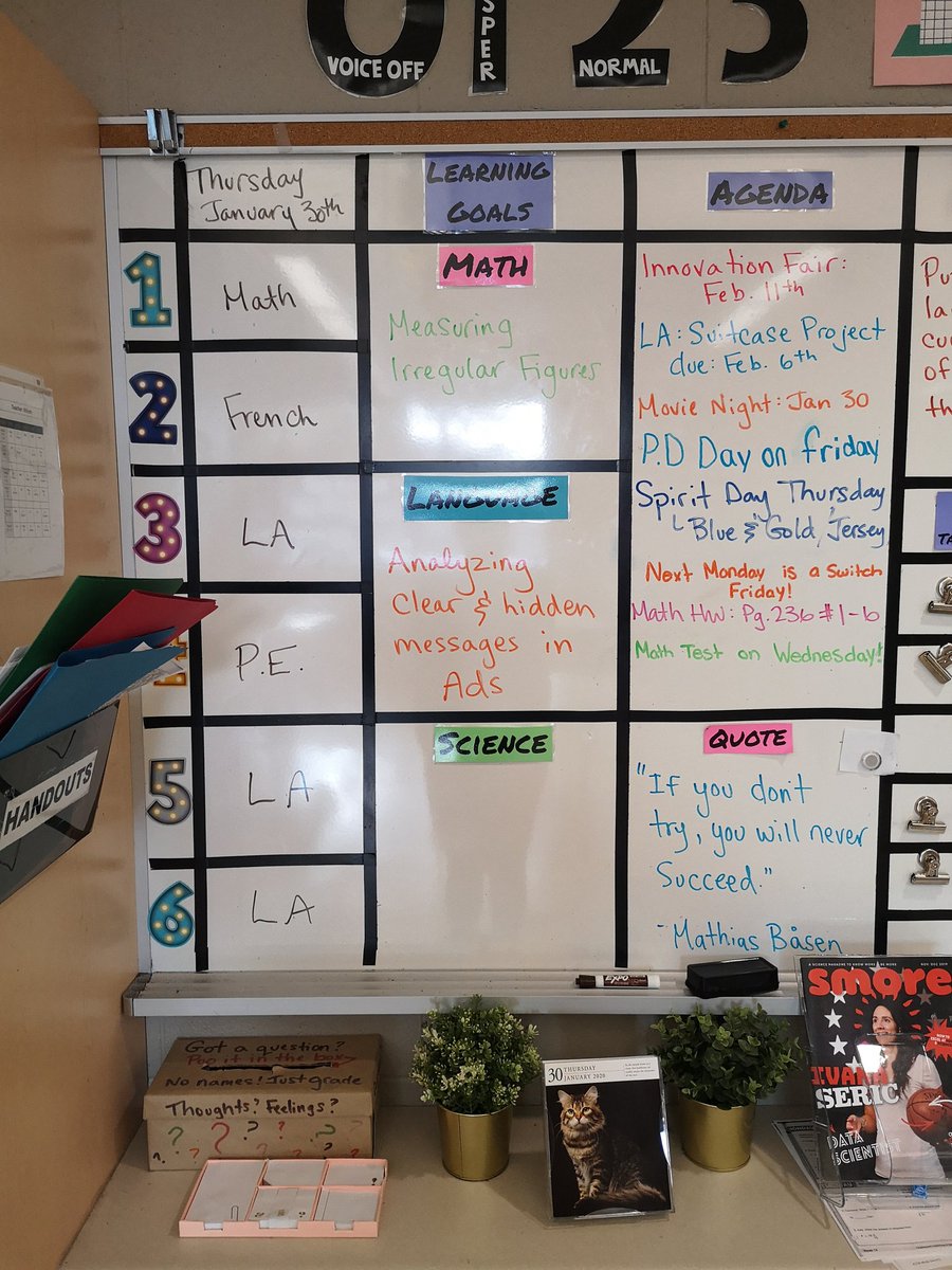 MsWilsonMapleG1's tweet image. 