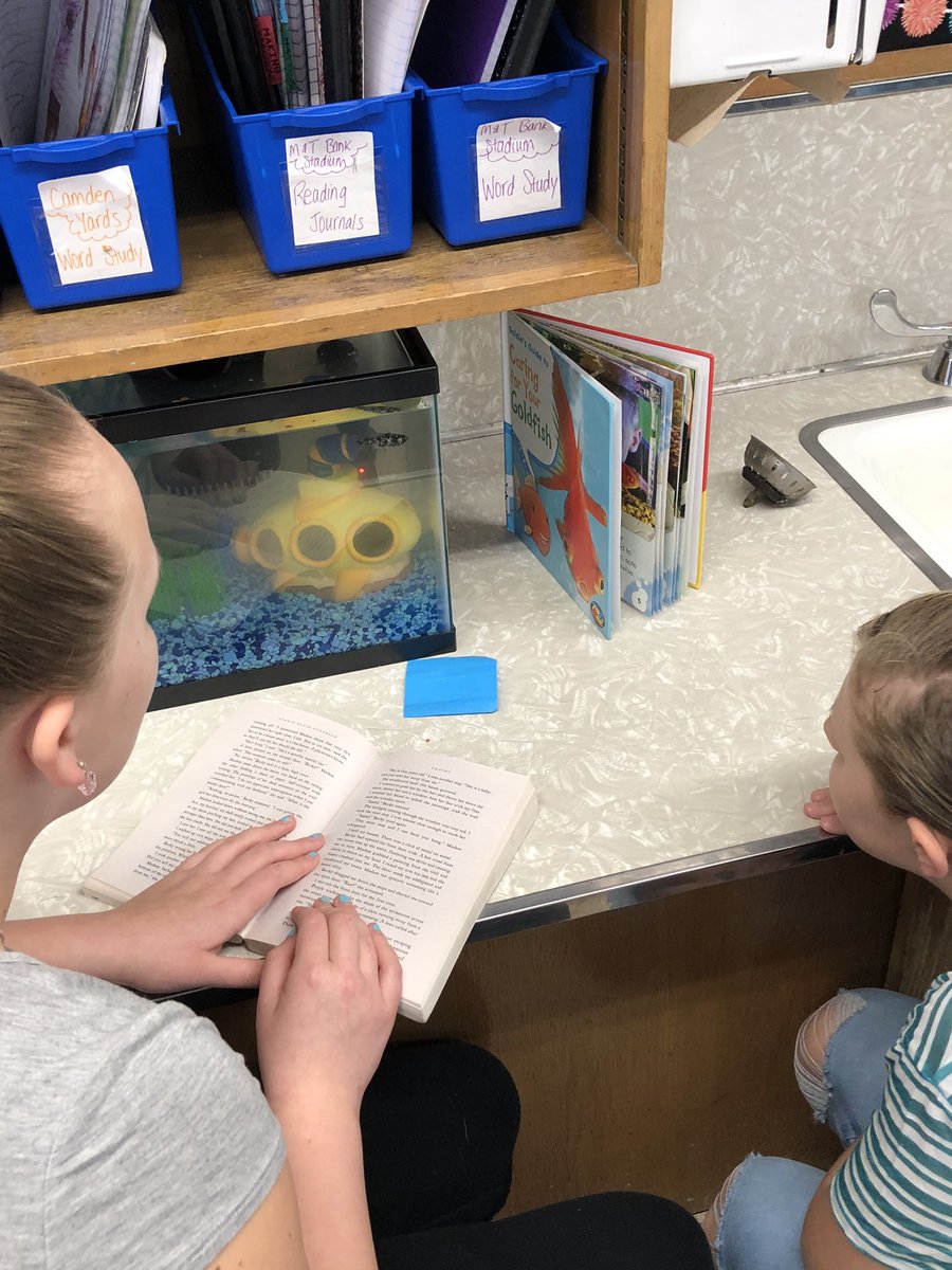 MsMayotte's tweet photo. Look who’s fitting into our @Grange5th reading class swimmingly! 😄 https://t.co/sF4M5J5F0w