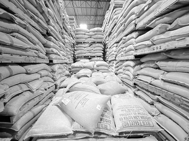 WeDoGoodCoffee's tweet photo. A visit with the coffee gods 🙏🤙🙌 @costaoro #freshroastedcoffee #supportyourlocalcoffeeshop https://t.co/RYD1nY1qvg