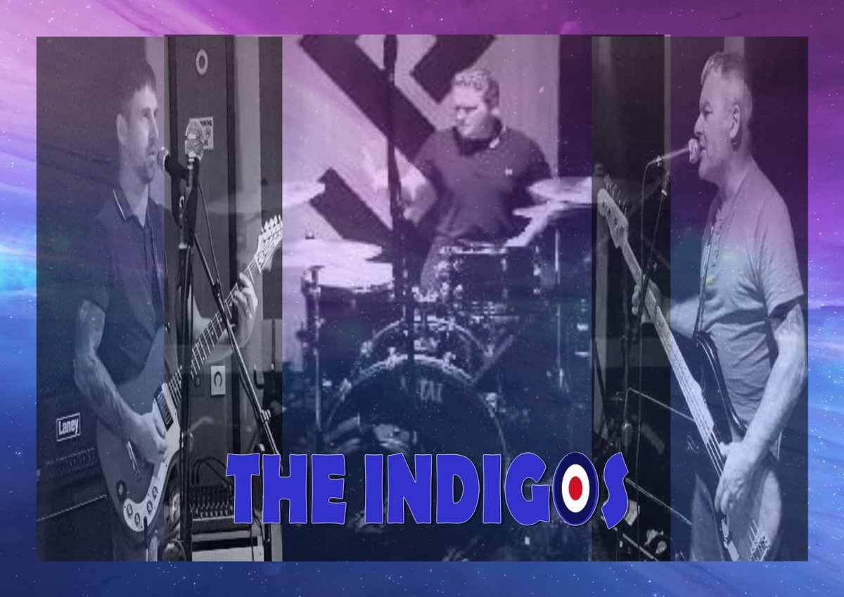 the indigos tweet media
