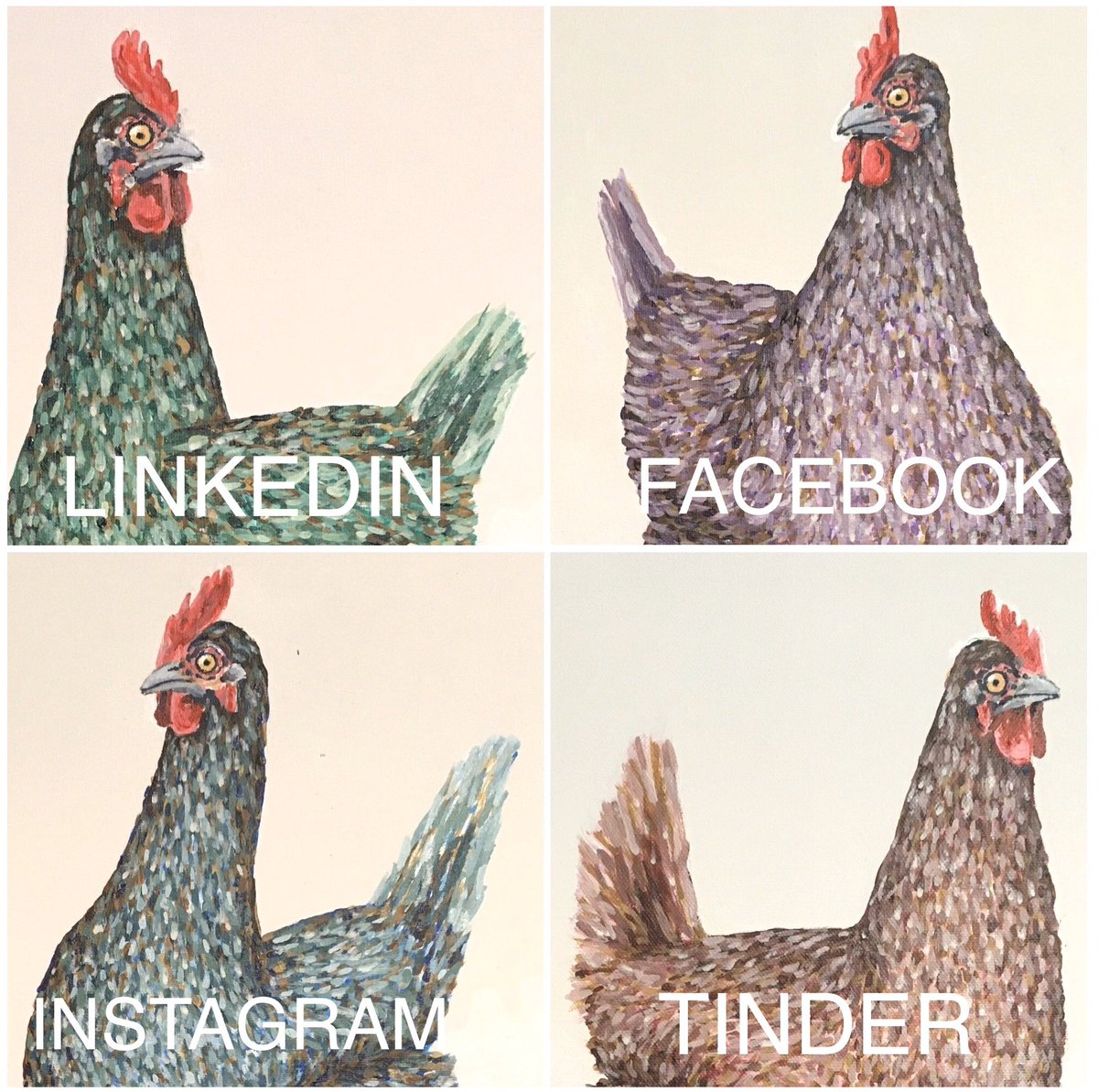 HensInTheMorn's tweet photo. Ok, at last here’s my #dollypartonchallenge 
🙄🙃🐓
#hencast #HITM https://t.co/b7IOtCJJ8o