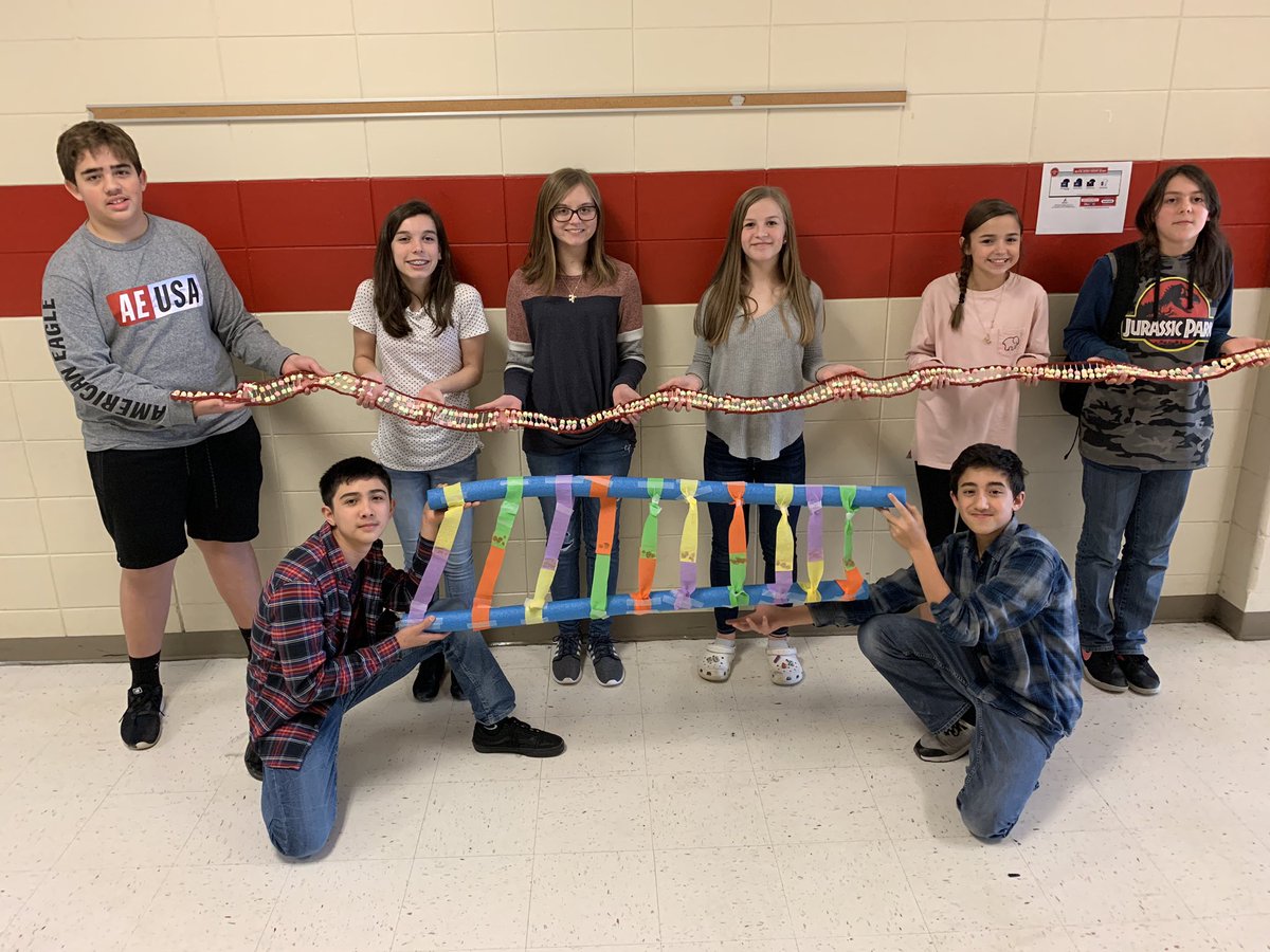 MrsTedderBCMS's tweet photo. Day 2 of Modeling DNA: The challenge make the longest strand of DNA @BryanCountyMS. Here are some of the Elite participants!!! And we did add mutations. #DNA #EdibleGenetics #Coding #mutations https://t.co/qyeoJ5euSf
