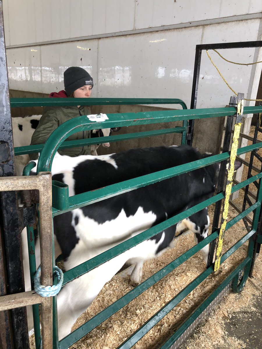 Couple days of weigh &amp; measures with <a href="/1feedguy/">Mike Ingram</a> completed!