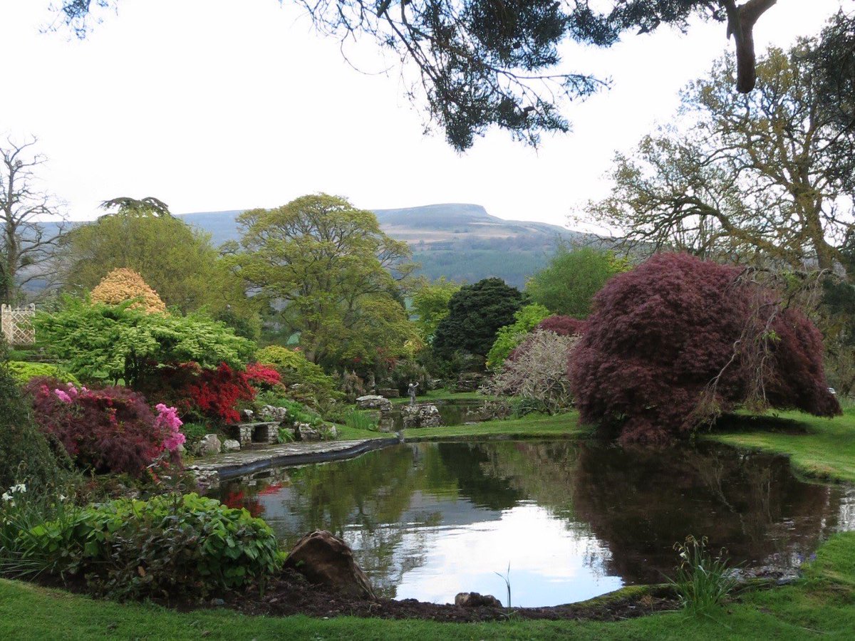 Glanusk Estate, Brecon Beacons tweet media