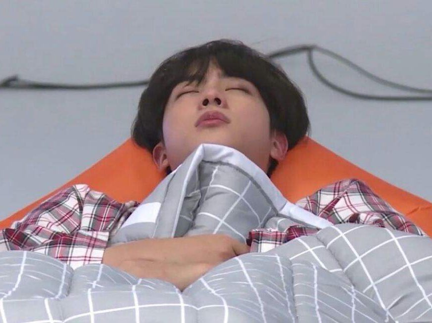 seokjinnie as hamtaro