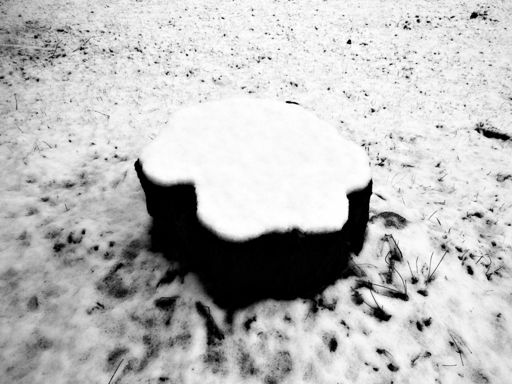 Vintagedreams25's tweet photo. Winter Time! https://t.co/7lEAOi7khn https://t.co/y8hm7tJkYr