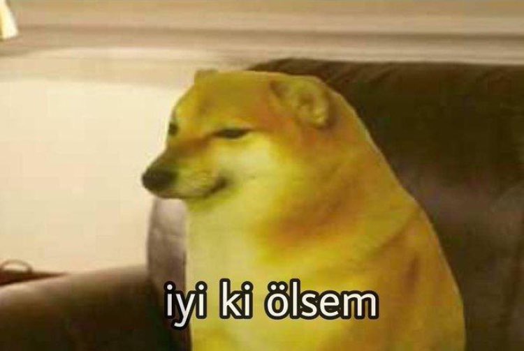 dream (@solidutte) on Twitter photo 