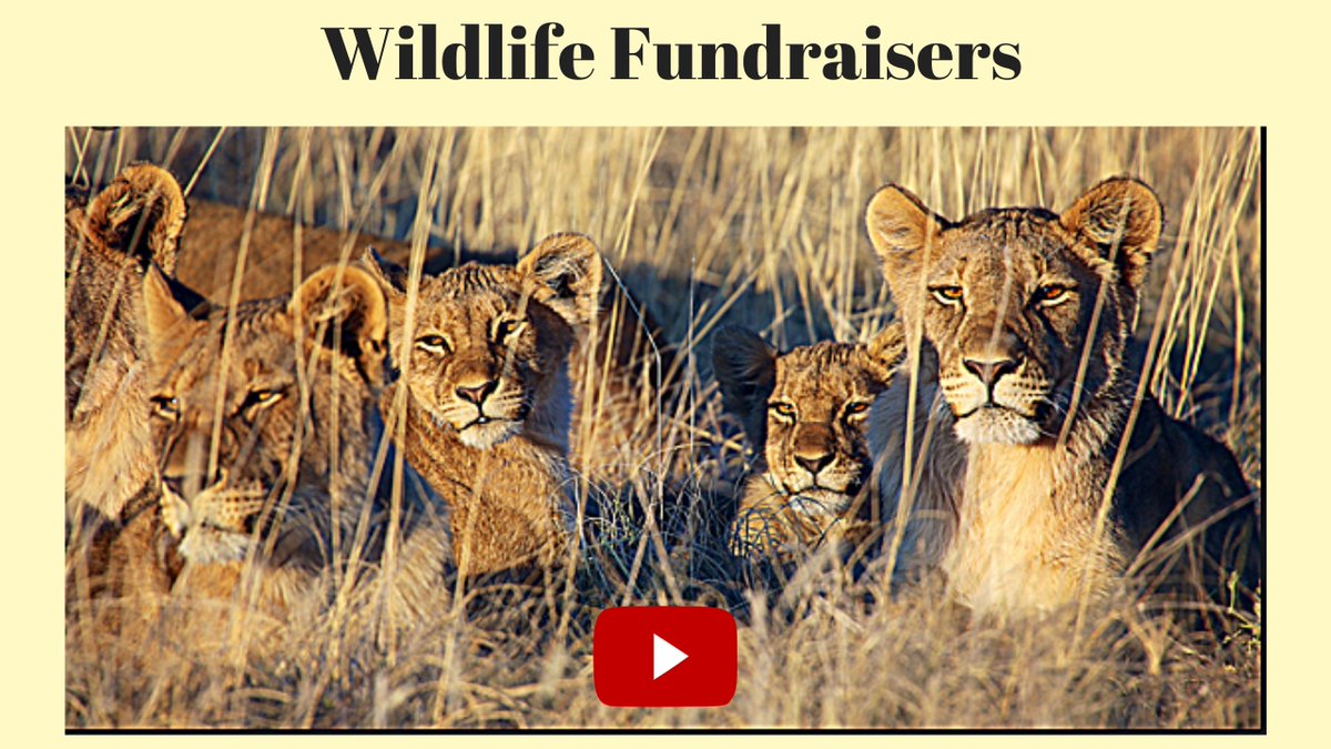 FundraiserTimes tweet picture
