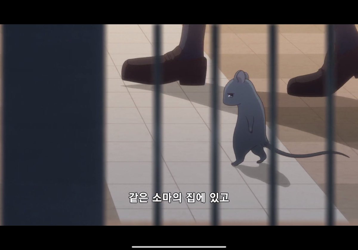 쿠쿠٩( ᐛ )و (@kuku_vegetable) / Posts / X