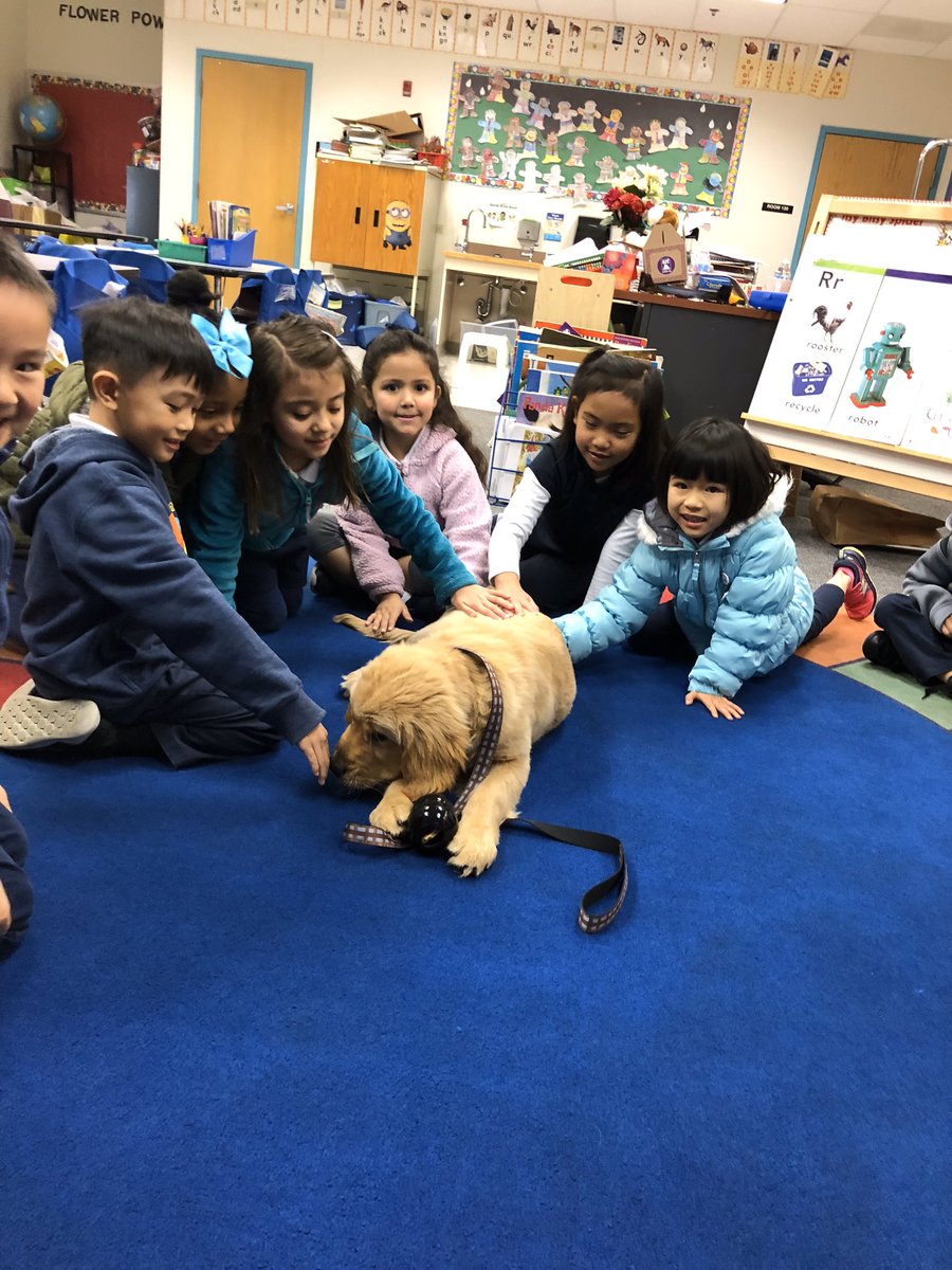 DeltaViewElementary tweet media