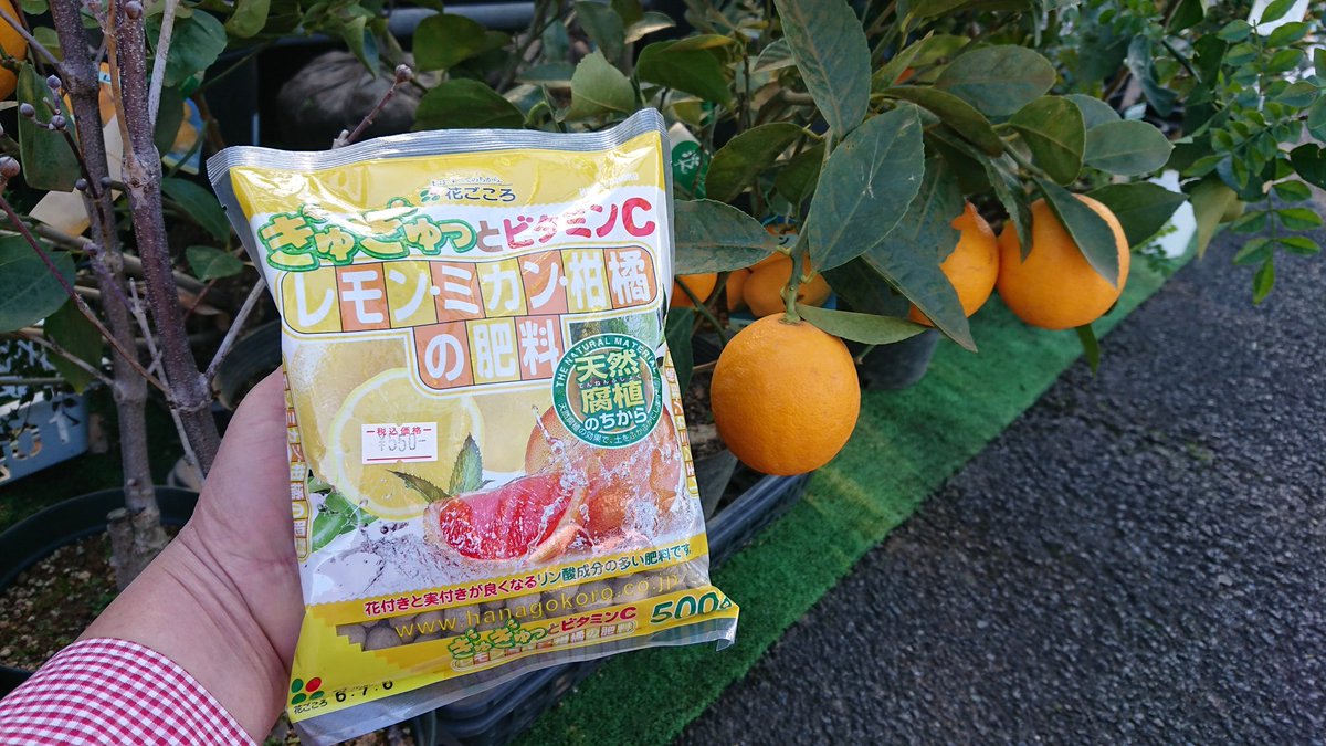 みかん・レモン・かんきつ類の肥料(500g)