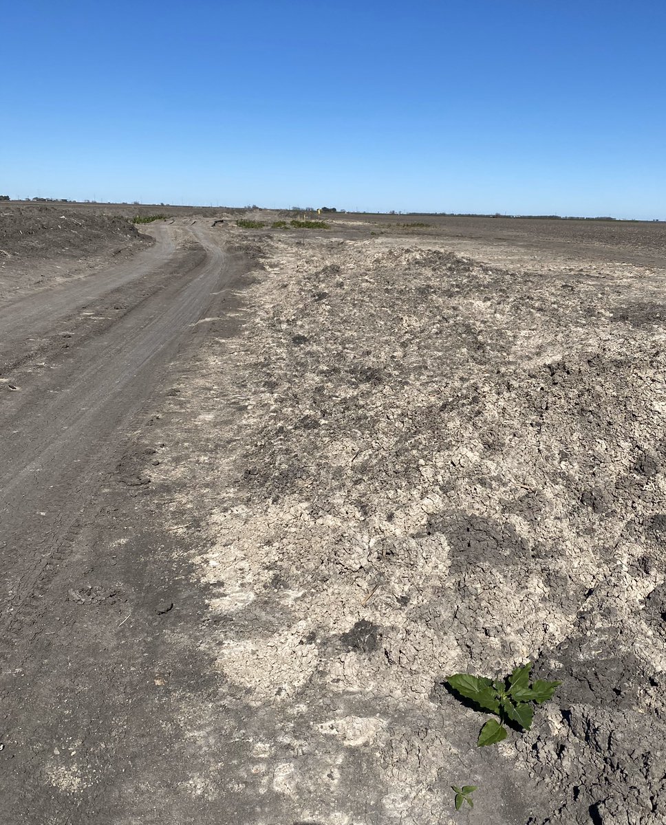 c_chopelas's tweet photo. Eminent domain legislation can’t be delayed any longer for Texas... @GovAbbott @TexasFarmBureau... Priority #1 for #87session Private landowners built Texas! https://t.co/NZnQtxaMD4