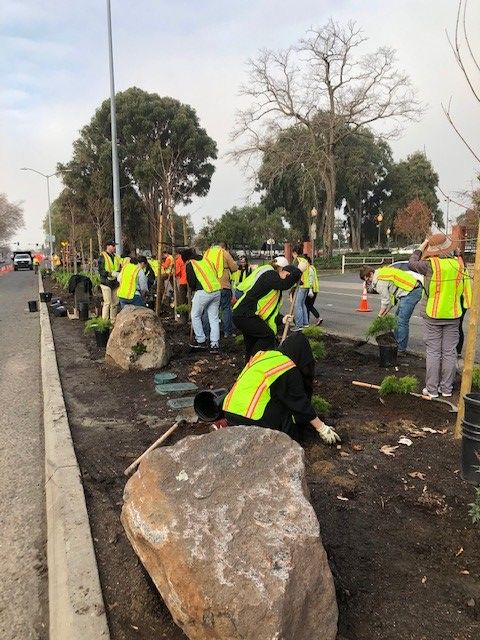 cityofhayward's tweet photo. Last Saturday, nearly 100 volunteers came out to help Keep #Hayward Clean & Green by removing 25 cubic yards of trash and planting 300 shrubs! π±
Pre-register for the next cleanup event: https://t.co/funbH8i8yQ π
More photos: https://t.co/s89dgJ8PtO
#HaywardBeautiful https://t.co/lMUBvXtp62