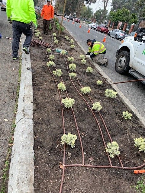 cityofhayward's tweet photo. Last Saturday, nearly 100 volunteers came out to help Keep #Hayward Clean & Green by removing 25 cubic yards of trash and planting 300 shrubs! π±
Pre-register for the next cleanup event: https://t.co/funbH8i8yQ π
More photos: https://t.co/s89dgJ8PtO
#HaywardBeautiful https://t.co/lMUBvXtp62