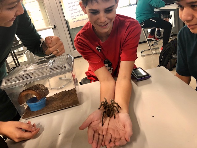 hill_science's tweet photo. Creepy crawlies became not so creepy crawly when we gave them a chance. https://t.co/jAemdbGlqg