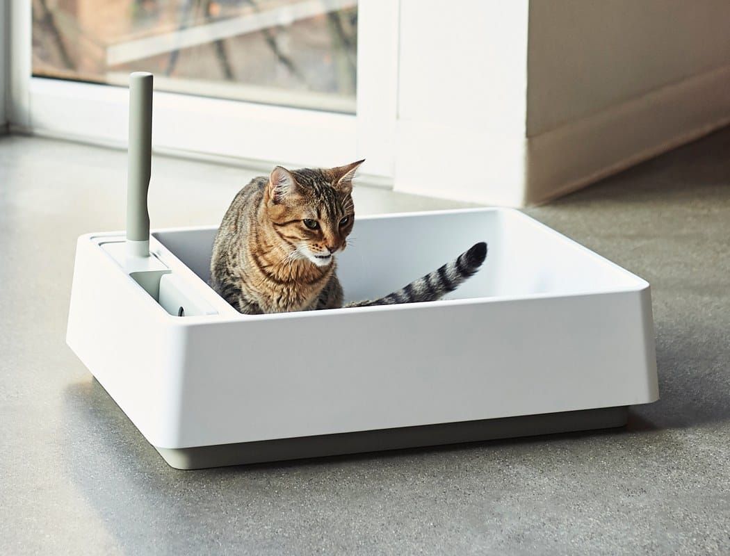 EcoInventos's tweet photo. Cove, la caja de arena para gatos minimalista que avergüenza a los muebles de Ikea.

https://t.co/kTUlLXZvtH https://t.co/ST7wb4CknS
