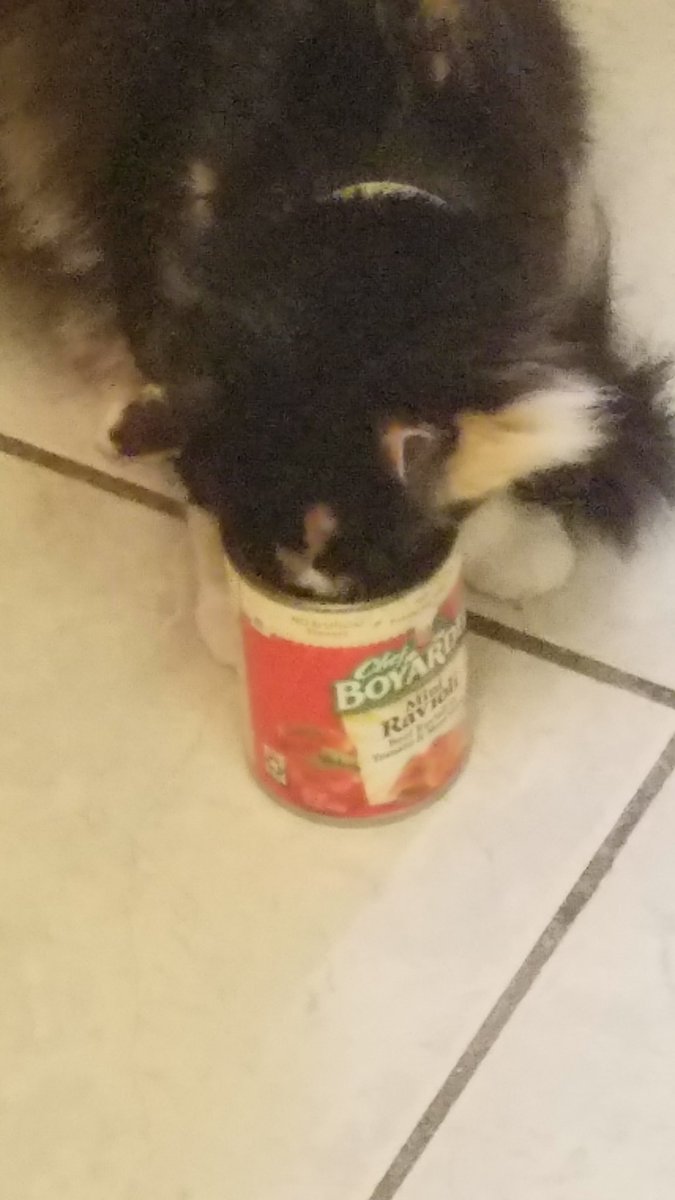 <a href="/cricketthesmall/">cricket, no longer small</a> 
Ravioli, raviloli, give me the formuoli