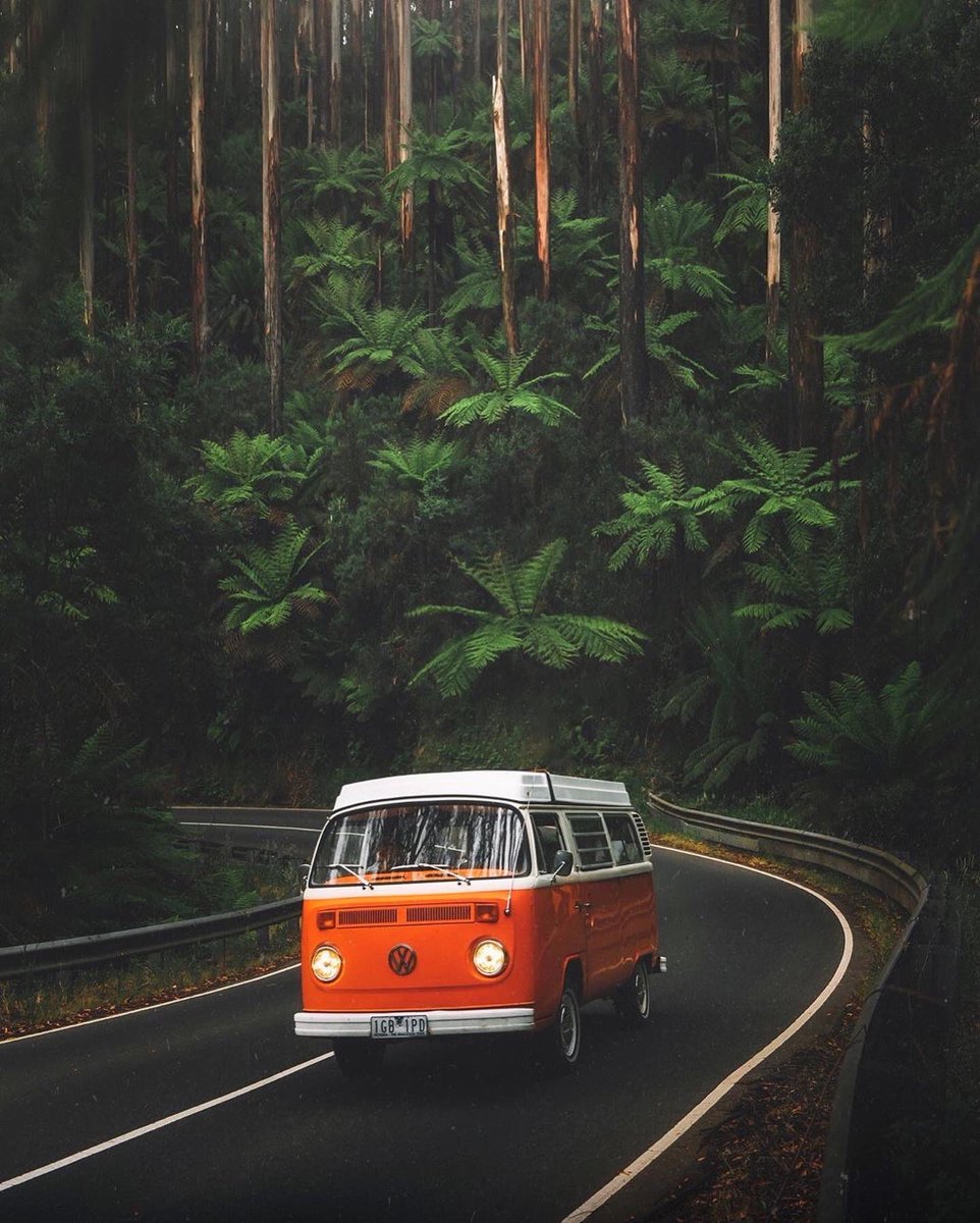 earth's tweet photo. A dreamy road trip in Australia 🌴 https://t.co/oa2XNY1PJH